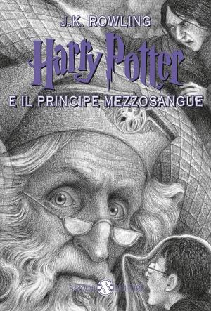 HARRY POTTER E IL PRINCIPE MEZZOSANGUE VOL. 6